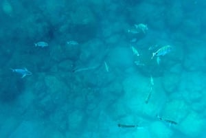 Tenerife: Excursión en Kayak y Snorkel - Grupos reducidos