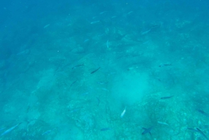 Tenerife: Excursión en Kayak y Snorkel - Grupos reducidos