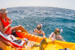 Tenerife: Excursión en Kayak y Snorkel - Grupos reducidos