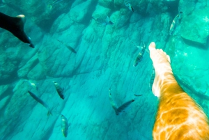 Tenerife: Excursión en Kayak y Snorkel - Grupos reducidos