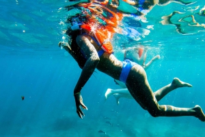 Tenerife: Excursión en Kayak y Snorkel - Grupos reducidos