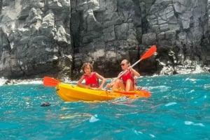 Tenerife: Kayak & Snorkeling, Marine Fauna Watching