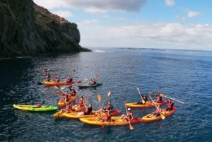 Tenerife: Kayak & Snorkeling, Marine Fauna Watching