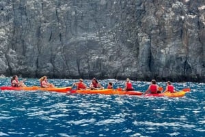 Tenerife: Kayak & Snorkeling, Marine Fauna Watching