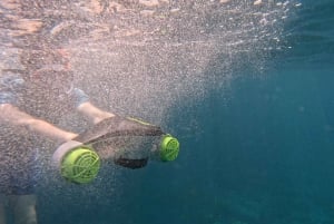 Teneryfa: Wycieczka kajakowa z zwierzętami i skuterami podwodnymi