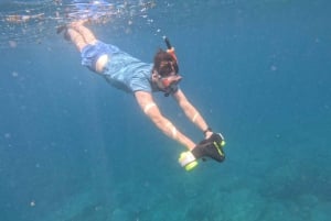 Teneryfa: Wycieczka kajakowa z zwierzętami i skuterami podwodnymi