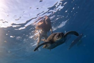 Teneryfa: Wycieczka kajakowa z zwierzętami i skuterami podwodnymi