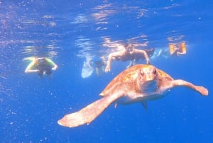 Teneryfa: Wycieczka kajakowa z zwierzętami i skuterami podwodnymi