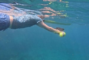 Teneryfa: Wycieczka kajakowa z zwierzętami i skuterami podwodnymi