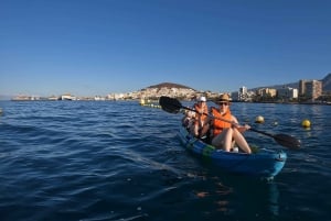 Teneryfa: Wycieczka kajakowa z zwierzętami i skuterami podwodnymi