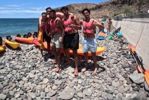Tenerife: Kayak with Dolphins and Snorkel with Turtles