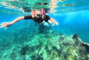 Tenerife: Kayak with Dolphins and Snorkel with Turtles