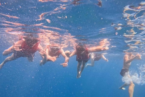 Tenerife: Kayak with Dolphins and Snorkel with Turtles