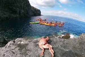 Tenerife: Kayak with Dolphins and Snorkel with Turtles