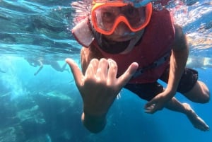 Tenerife: Kayak with Dolphins and Snorkel with Turtles