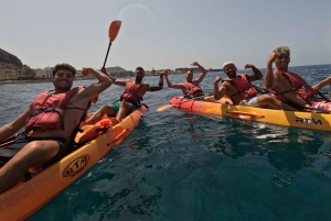 Tenerife: Kayak with Dolphins and Snorkel with Turtles