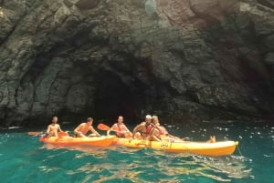 Tenerife: Kayak with Dolphins and Snorkel with Turtles