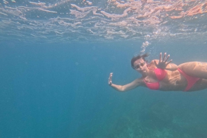 Tenerife: Kayak with Dolphins and Snorkel with Turtles