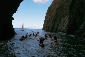 Tenerife: Kayaking and snorkeling for groups and families