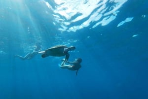 Tenerife: Kayaking and snorkeling for groups and families