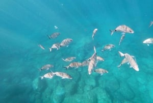 Tenerife: Kayaking and snorkeling for groups and families