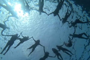 Tenerife : Excursion en kayak et plongée en apnée pour les groupes