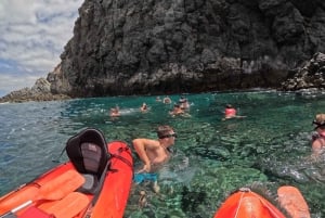 Tenerife : Excursion en kayak et plongée en apnée pour les groupes