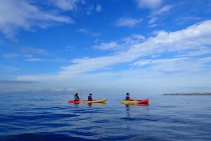 Tenerife: Kayak and Snorkel with Turtles, Wetsuits Included