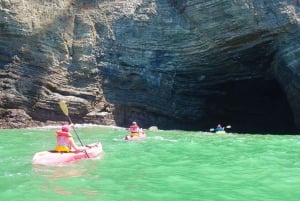 Tenerife: Turtles and Dolphins Spotting Guided Kayaking Tour