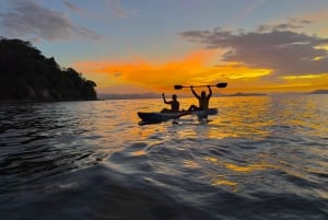 Tenerife: Turtles and Dolphins Spotting Guided Kayaking Tour