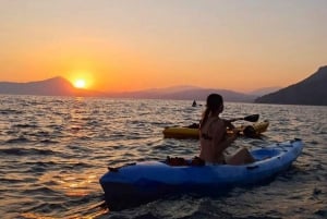 Tenerife: Turtles and Dolphins Spotting Guided Kayaking Tour