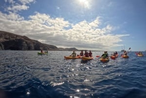 Tenerife: All Inclusive Kayak Safari with Snorkeling