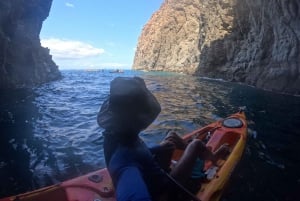 Tenerife: All Inclusive Kayak Safari with Snorkeling