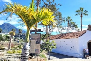 Tenerife: La Caleta Guided Walking Tour