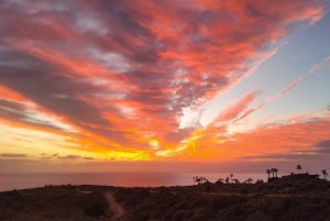 Tenerife: La Caleta Guided Walking Tour