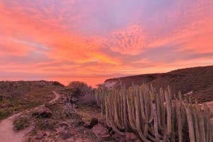 Tenerife: La Caleta Guided Walking Tour