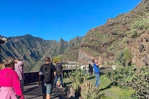 From Tenerife: La Gomera Day Trip with Guide