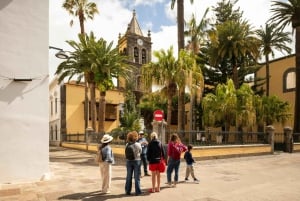 Tenerife: La Laguna, Aloe Vera Farm, and Lunch Tour