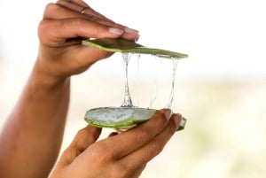 Tenerife: La Laguna, Aloe Vera Farm, and Lunch Tour