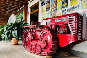 Tenerife: La Laguna, Aloe Vera Farm, and Lunch Tour