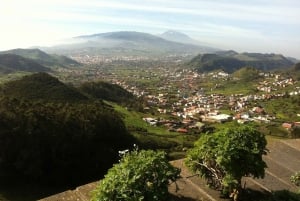 Balades Découverte La Laguna & Anaga