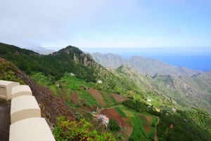 Tenerife: La Laguna & Anaga hike