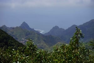 Tenerife: La Laguna & Anaga hike