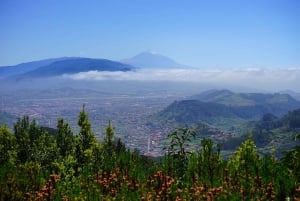 Tenerife: La Laguna & Anaga hike