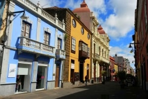 Tenerife: La Laguna & Anaga hike