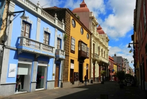 Tenerife: La Laguna y Anaga