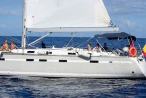 Tenerife: Lady Sunshine Luxury Boat Tour