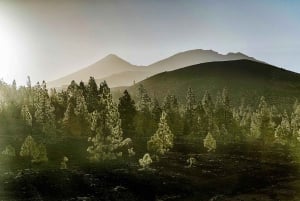 Tenerife: Landscape photography, coaching workshops 5 hrs.