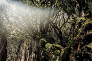 Tenerife: Landschapsfotografie, coaching workshops 5 uur.