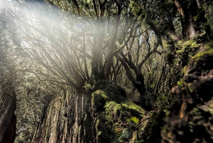 Teneryfa: Warsztaty fotografii krajobrazowej, 10 godz.